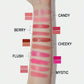 2-in-1 Blush Duo Palette